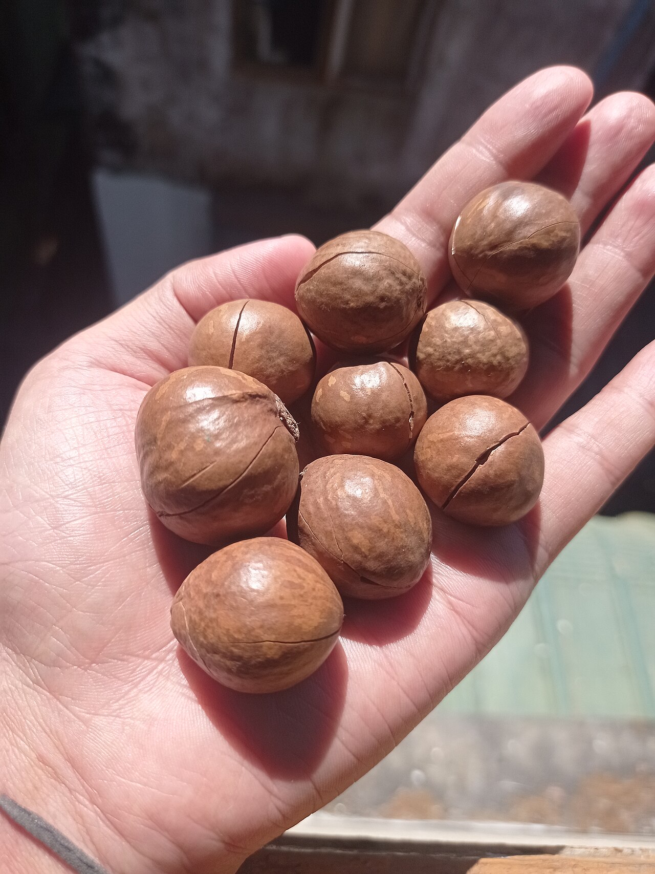 Quà tặng doanh nghiệp
