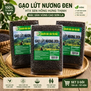 3kg Gạo lứt nương đen Sơn La