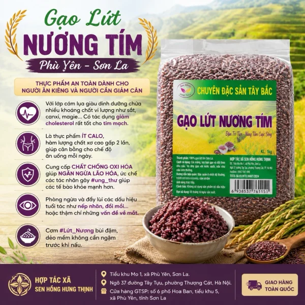 Gạo