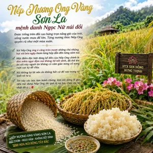 3kg Gạo nếp nương ong vàng Sơn La