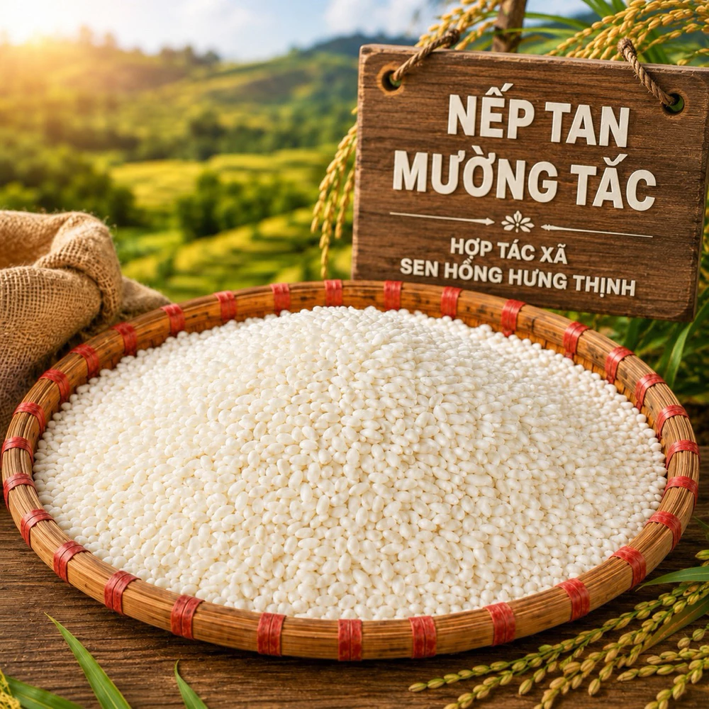 3kg Gạo nếp tan Mường Tấc Sơn La - Ảnh 3
