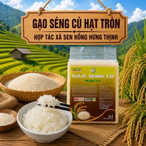 5kg Gạo Séng Cù hạt tròn Mường Tấc Sơn La
