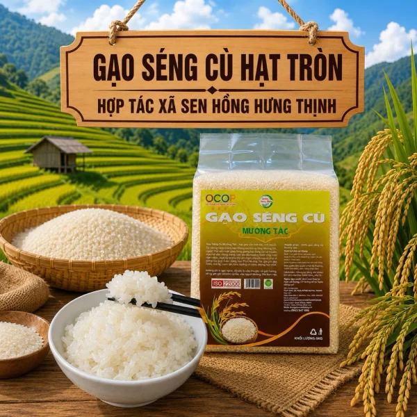 5kg Gạo Séng Cù hạt tròn Mường Tấc Sơn La