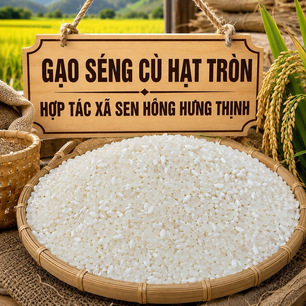 5kg Gạo Séng Cù hạt tròn Mường Tấc Sơn La - Ảnh 3