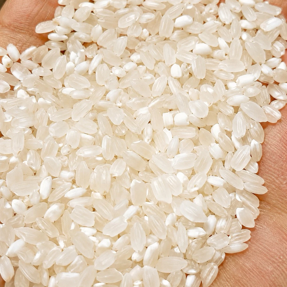 5kg Gạo Séng Cù hạt tròn Mường Tấc Sơn La - Ảnh 4