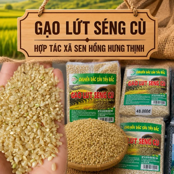 HTX Sen Hồng Hưng Thịnh – kết nối nông sản Sơn La với người tiêu dùng
