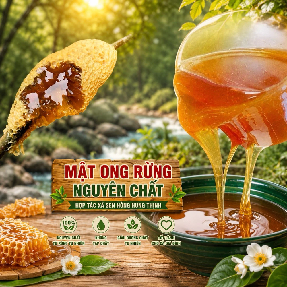 1 lít Mật ong ruồi rừng nguyên chất - Ảnh 3