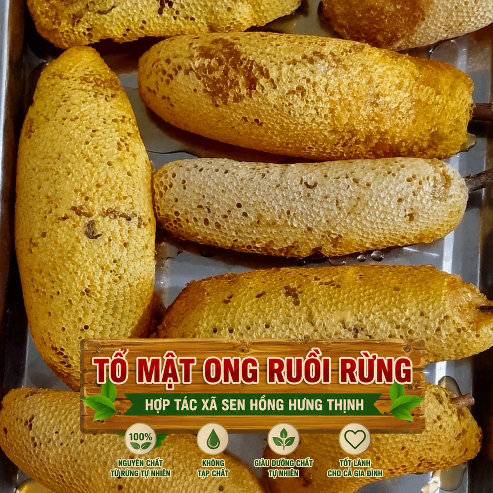 1 lít Mật ong ruồi rừng nguyên chất - Ảnh 4