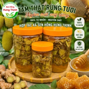 Tam thất rừng tươi ngâm mật ong rừng