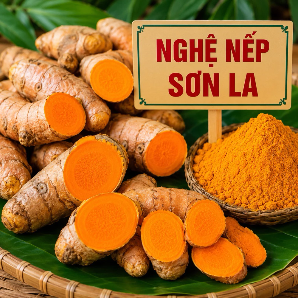 Mật ong rừng lên men nghệ nếp - Ảnh 3