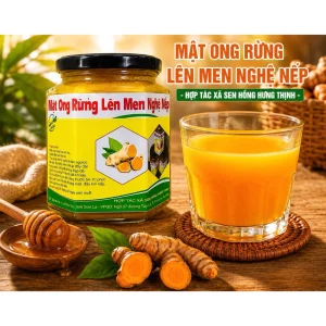 Mật ong rừng lên men nghệ nếp