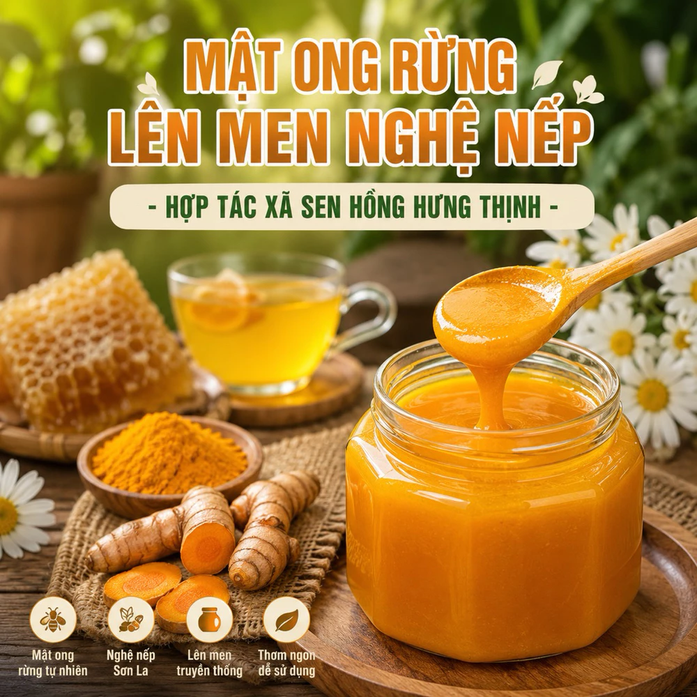 Mật ong rừng lên men nghệ nếp - Ảnh 2