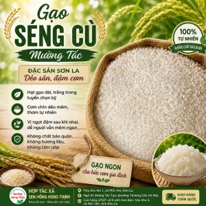 5kg Gạo Séng Cù Mường Tấc Sơn La