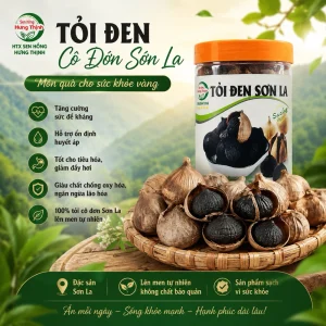 500gr Tỏi đen cô đơn Sơn La