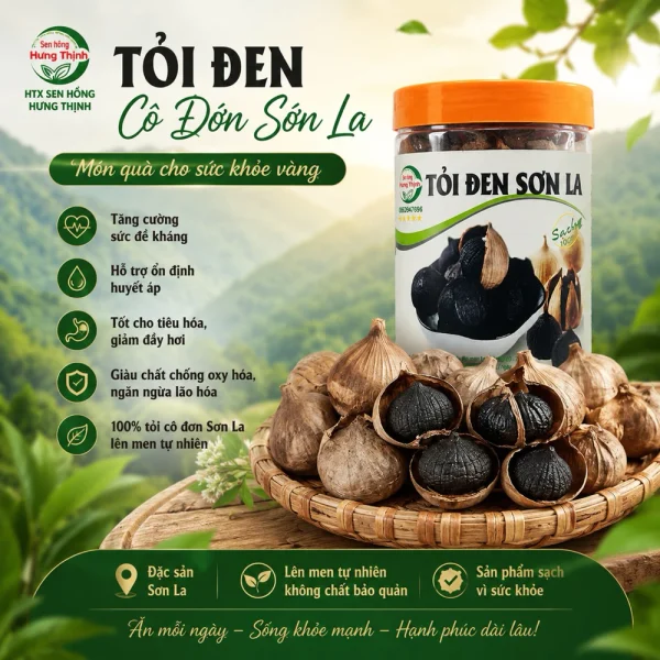 500gr Tỏi đen cô đơn Sơn La