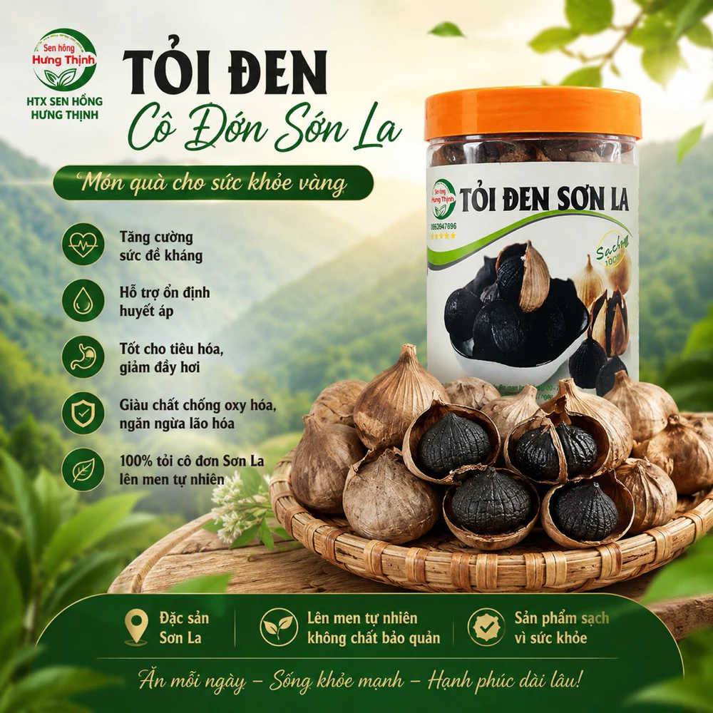 500gr Tỏi đen cô đơn Sơn La