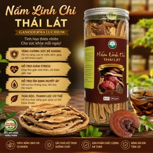 150gr Nấm linh chi Thái Lát OCOP 4 sao