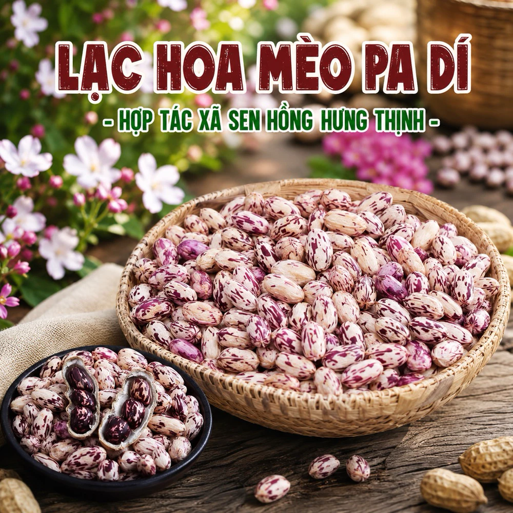 1kg Lạc hoa mèo Pa Dí Tây Bắc