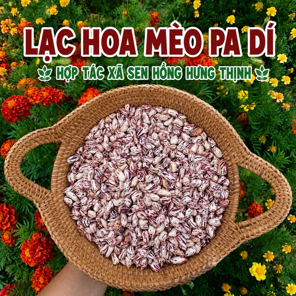 1kg Lạc hoa mèo Pa Dí Tây Bắc - Ảnh 2