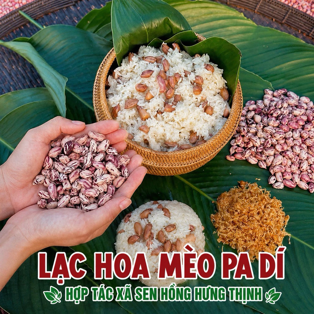 1kg Lạc hoa mèo Pa Dí Tây Bắc - Ảnh 3