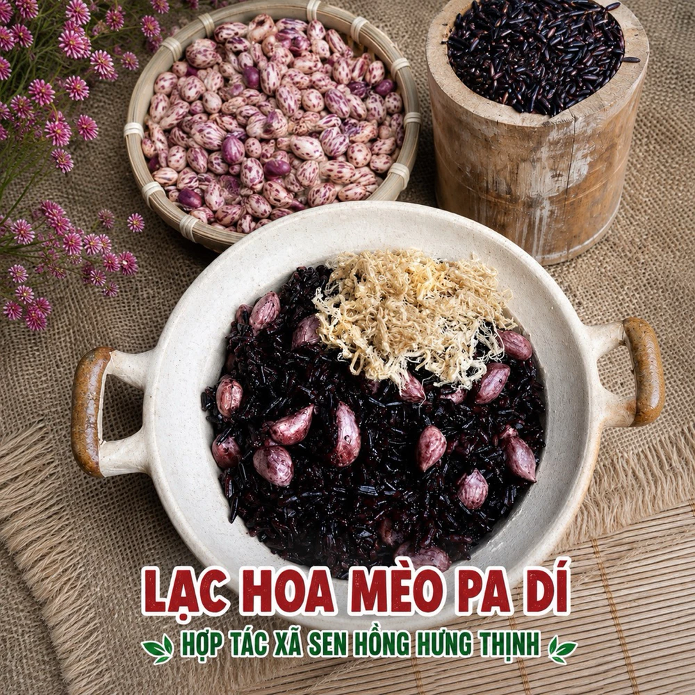 1kg Lạc hoa mèo Pa Dí Tây Bắc - Ảnh 4