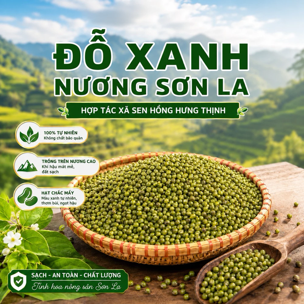 1kg Đỗ xanh nương Sơn La