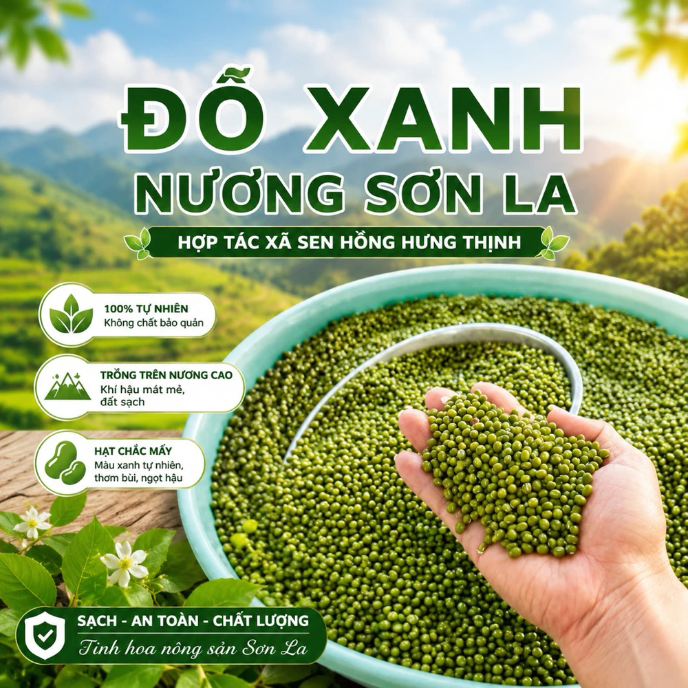1kg Đỗ xanh nương Sơn La - Ảnh 2
