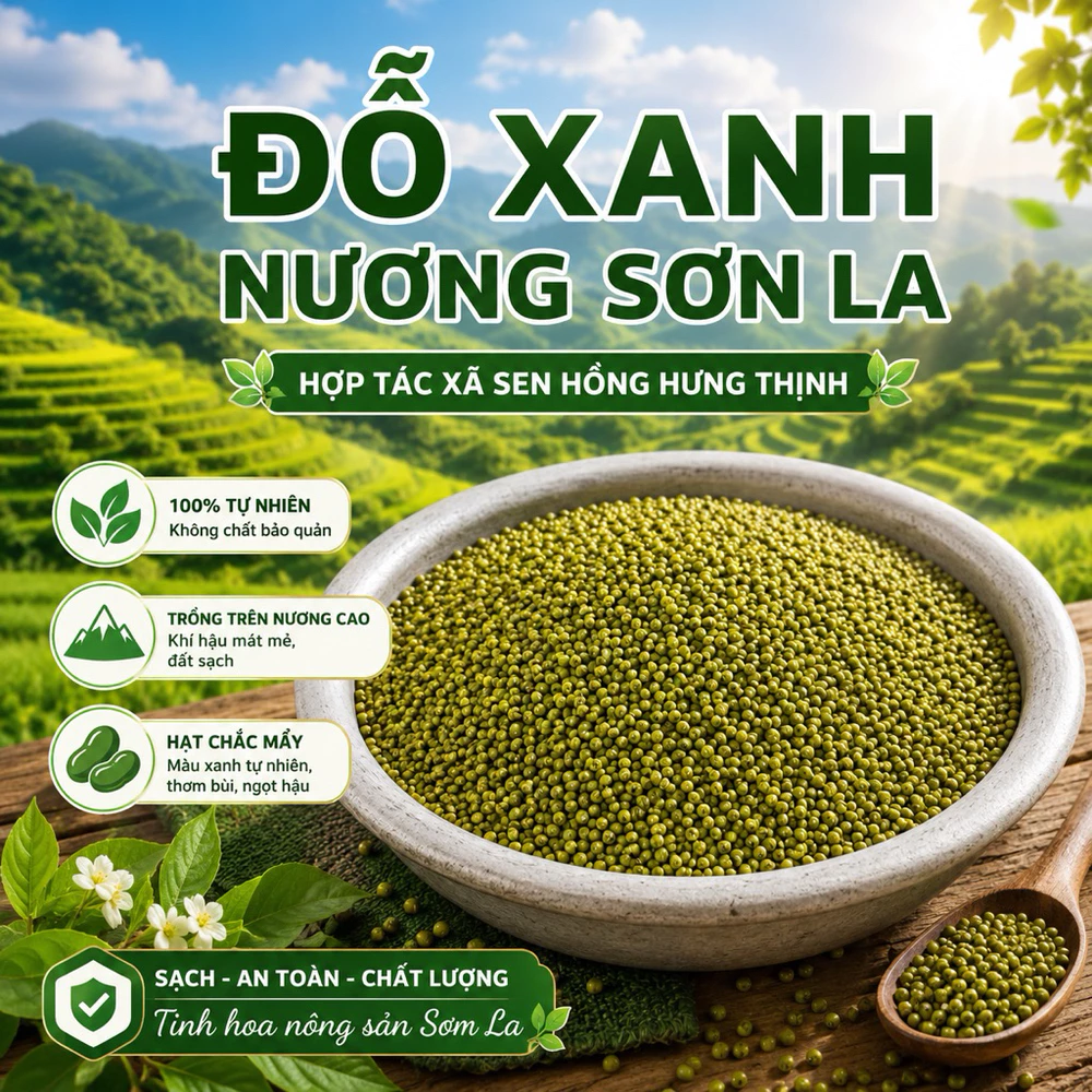 1kg Đỗ xanh nương Sơn La - Ảnh 3