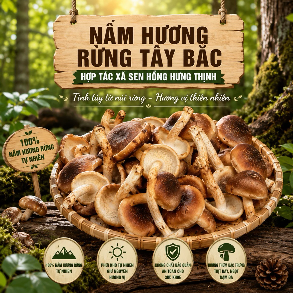 200gr Nấm hương rừng Tây Bắc - Ảnh 3