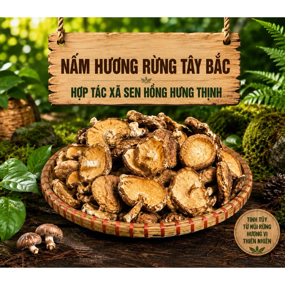 200gr Nấm hương rừng Tây Bắc - Ảnh 2