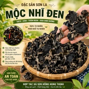 200gr Mộc nhĩ đen Sơn La
