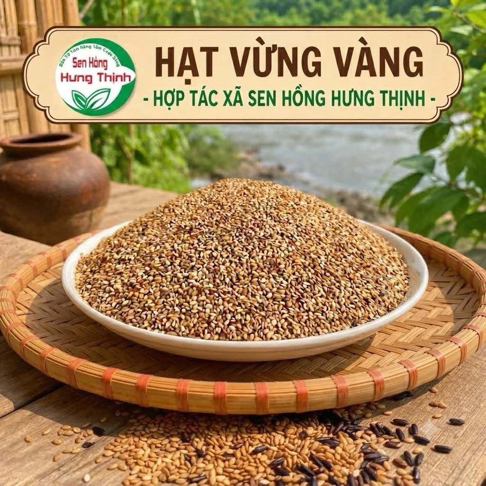 300gr Hạt vừng nương Sơn La - vừng vàng - Ảnh 2