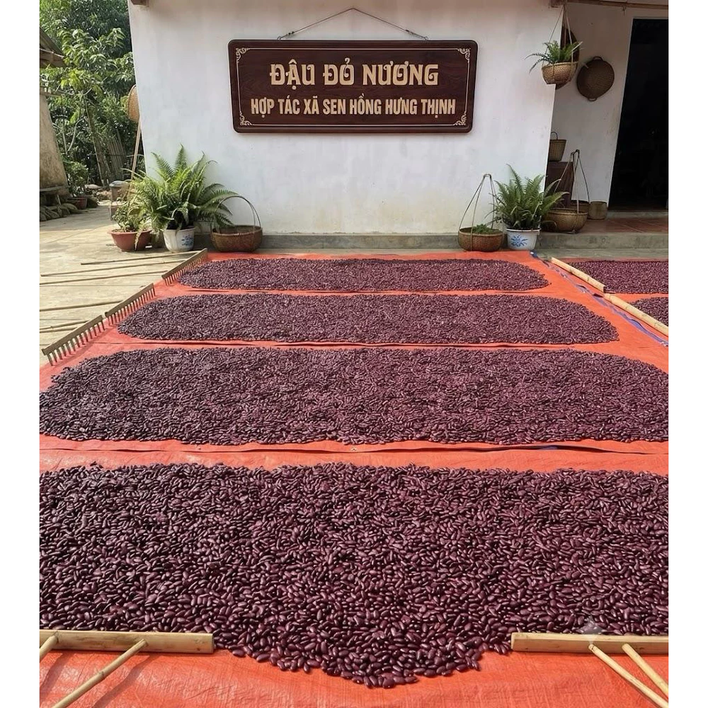 1kg Đỗ đỏ nương Sơn La - Ảnh 3