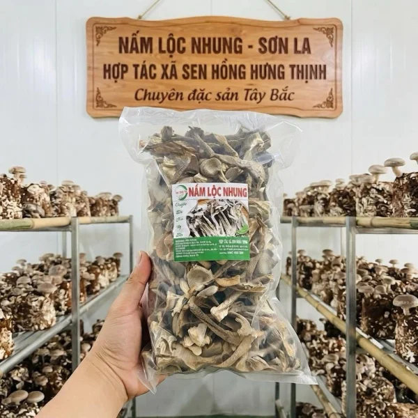 200gr Nấm lộc nhung Tây Bắc