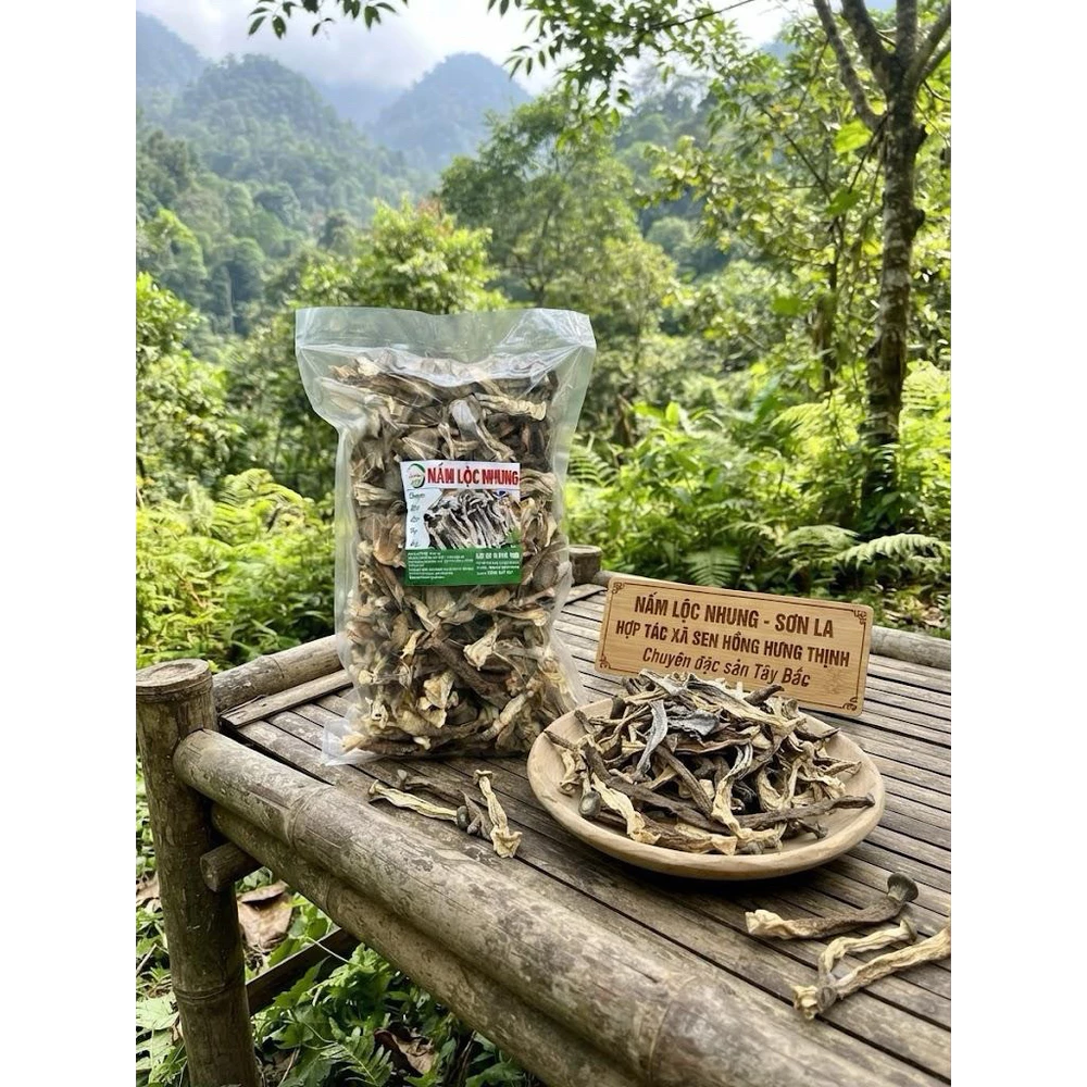 200gr Nấm lộc nhung Tây Bắc - Ảnh 2