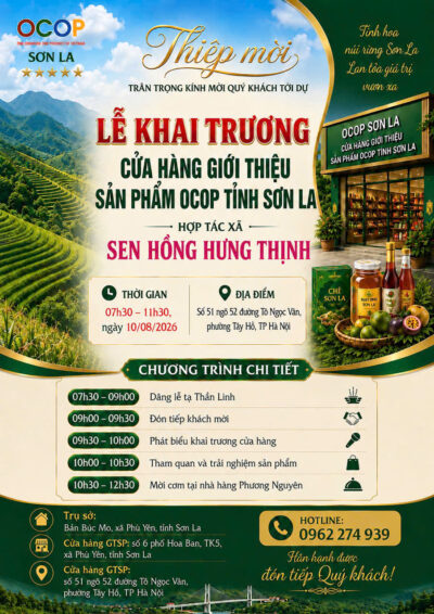 Thiệp mời khai trương