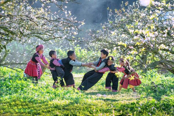 Định hướng phát triển du lịch xanh và bền vững