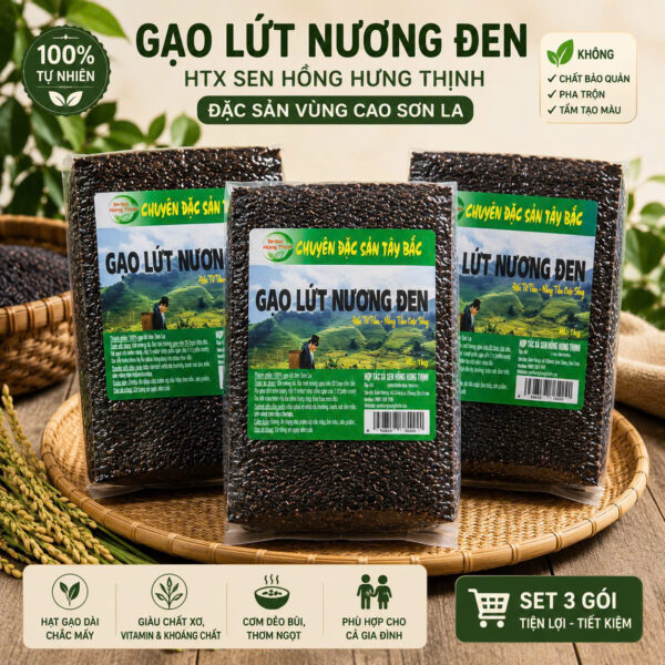 [BẬT MÍ] 10+ Công Dụng Tuyệt Vời Của Gạo Lứt Đen & Bí Quyết Chọn Gạo Lứt Nương Đen Mường Tấc Chuẩn Vị Tây Bắc