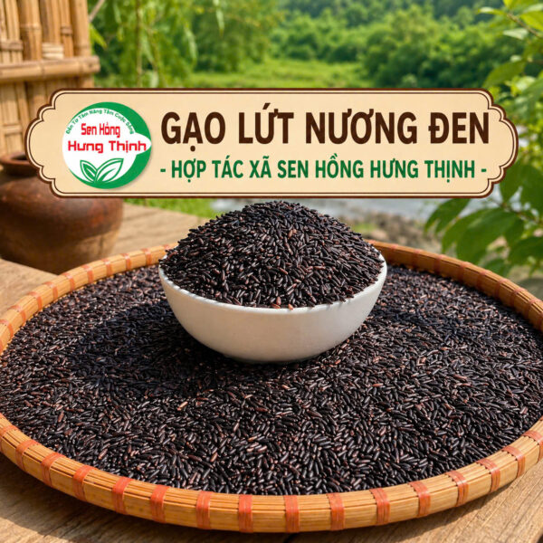 Chất xơ tự nhiên: Gấp 3 – 4 lần gạo trắng thông thường