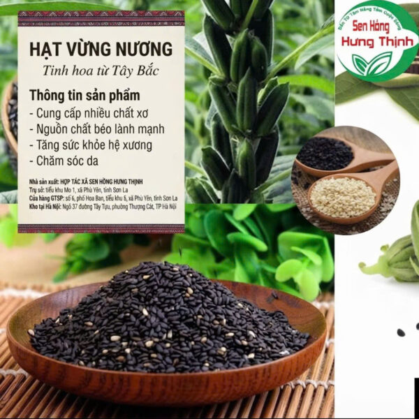 Cải Thiện Sức Khỏe Tim Mạch Và Điều Hòa Huyết Áp