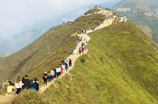 Sống lưng khủng long Tà Xùa